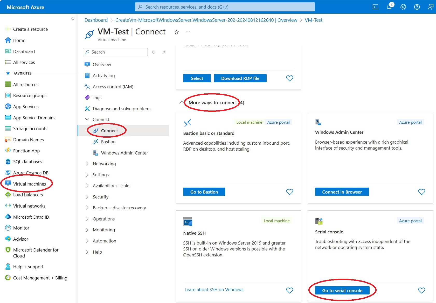 Connect to the VM via Serial Console